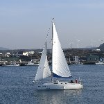 주간부터 아름다운 선셋, 화려한 야경까지! 바다 위에서 즐기는 낭만가득 여수요트