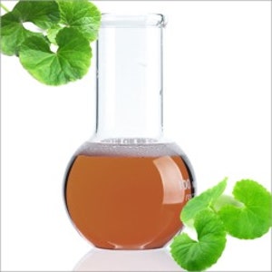 병풀추출물 원액 100ml