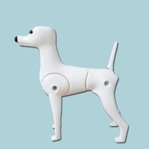 애견미용 위그 램클립 견체모형 애견연맹 시험용