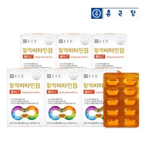 종근당 활력 비타민B 플러스 6박스(12개월분) 나이아신 비오틴 엽산 판토텐산 / 쇼핑백