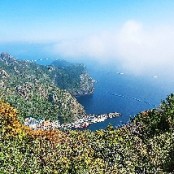 울릉도, 독도여행, 패키지/자유, 체험관광, 배표, 포항, 강릉, 묵호, 후포출발
