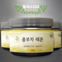 2+1 콤부차 분말 가루 19종유산균 200g
