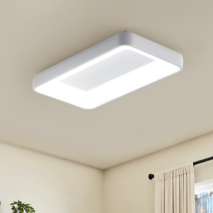 LED 웰시 직사각 방등 50W