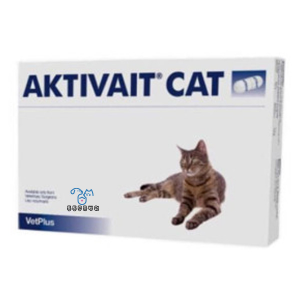 액티베이트 캣 60캡슐