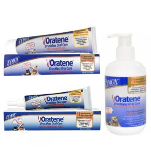 자이목스 오라틴 강아지 고양이 치석 구강관리 치약 안티셉틱 오랄젤, 28g