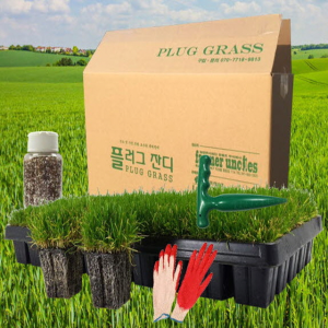 산소잔디 보수용 - 뗏장, 잔디씨보다 효과우수