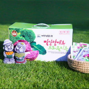 [2+1 이벤트] 제주산 빨간 양배추브로콜리즙 75포 x 110ml [청룡농원] 햇상품!