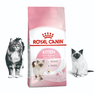 로얄캐닌 고양이사료 어린고양이 키튼 4kg
