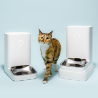[식사량 측정] 식습관 개선 고양이자동급식기