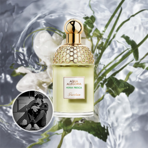 겔랑 향수 아쿠아 알레고리아 허바 프레스카 오 드 뚜왈렛 75ml 125ml 200ml