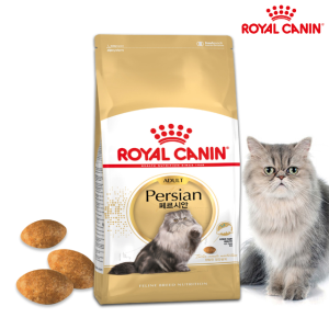 로얄캐닌 페르시안 어덜트 캣 10kg 고양이 대용량 건식 사료