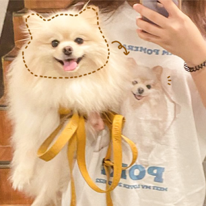 반려동물사진티셔츠 강아지 고양이 커스텀제작