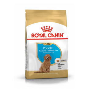 로얄캐닌 강아지사료 견종별 푸들 퍼피, 1.5kg, 1개
