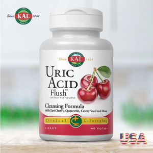 미국 타트체리120캡슐 4개월 2통풍임 영양제