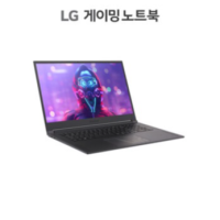 LG울트라기어 17GD90Q-XX79K 인텔