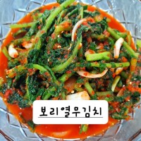 단홍김치 아삭 칼칼한 보리열무김치2kg