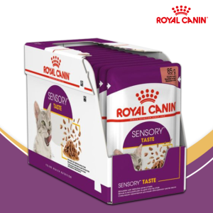 로얄캐닌 센서리 테이스트 그레이비 파우치 85g 12개입 습식 고양이 사료