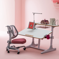BEST 니스툴그로우 책상 LED 액세서리 패키지 핑크,높이각도조절 어린이 초등학생책상