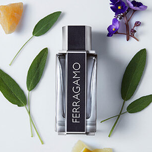페라가모 EDT 50ml