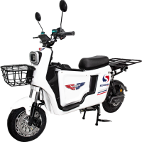 스쿠존 DB9 전기 전동스쿠터 25A 30A
