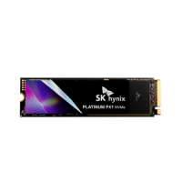 SK하이닉스 SK하이닉스 Platinum P41 NVMe SSD 1TB 공식대리점/3RSYS방열판