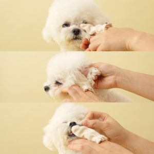 광고 메인 이미지