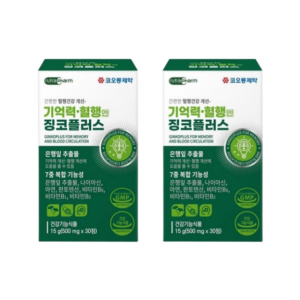 징코빌로바 혈액순환제 혈행개선제 혈액순환개선제