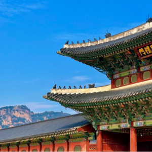 경복궁 투어 - 역사 전문 강사와 함께하는 인문학 산책