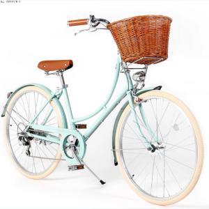 자이크 버킨비비에 여성 클래식 바구니 자전거