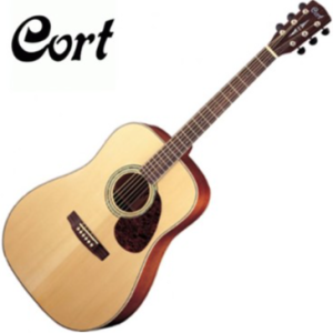 콜트 Earth 100 / 통기타 드래드넛 바디 탑솔리드 무광 유광