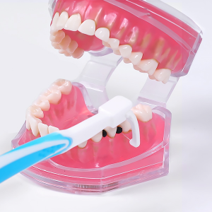 칫솔형 손잡이 치실 치과 치간 칫솔 일회용