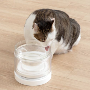 웰리 투명유리수반IoT 고양이 유리수반 물그릇
