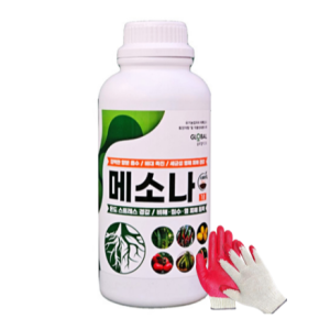 메소나 1L 고추 뿌리발근 염류피해 미생물 발근제 흥농팜아그로 글로벌아그로