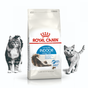 로얄캐닌 고양이사료 성묘 인도어 롱헤어 10kg