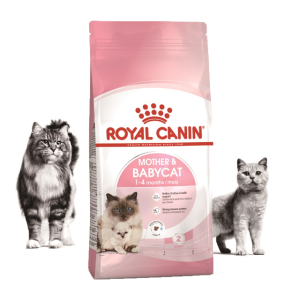 로얄캐닌 캣 베이비캣 모유수유 새끼고양이 마더앤베이비, 10kg, 1개
