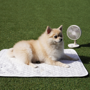 커블 강아지 고양이 애견 쿨링 쿨매트 방석
