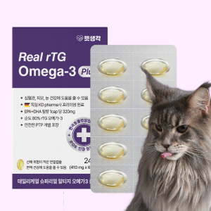 펫생각 순도80% KDpharma 60캡슐 강아지 오메가3 피부 관절 영양제 410mg