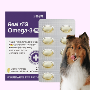 펫생각 순도80% KDpharma 60캡슐 강아지 오메가3 피부 관절 영양제 410mg