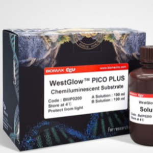 WestGlow PICO 세포 배양 키트