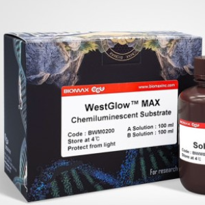 WestGlow MAX 세포 배양 키트