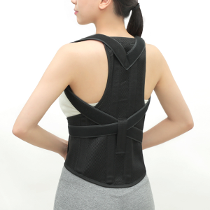 바디보감 바른자세 밴드 허리 통증 보호대