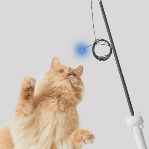 버디부 트윙클 낚시대, 고양이 낚시대 광섬유 고양이 레이저