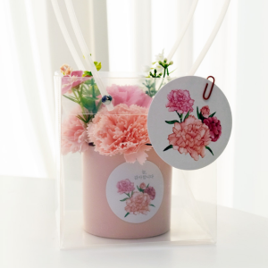 카네이션 비누꽃 화분 DIY 키트 (비닐백+카드) 어버이날 스승의날 만들기 가정의달 선물