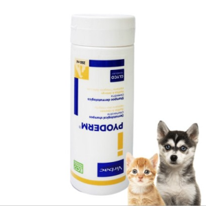 (최신정품) 버박 파이오덤 약용 샴푸 250ml 세균성 곰팡이균