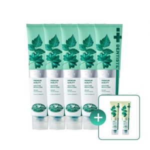 덴티스테 뉴플러스 화이트 200g 5개입 (+치약 60g+칫솔 증정)