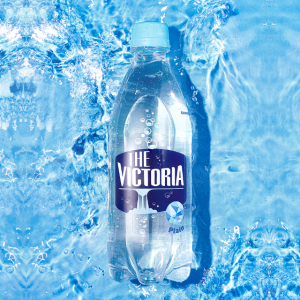 더 빅토리아 탄산수 플레인 500mL 20개