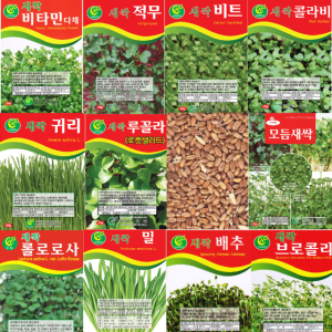영농사 새싹씨앗 새싹재배기 수경재배 어린잎 채소