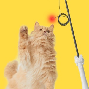 5만개 완판! 트윙클 낚시대 고양이낚시대