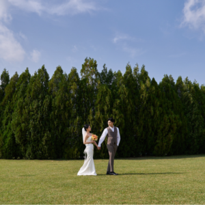 결혼준비 올인원 노션템플릿 17종 웨딩플래너 결혼예산표 체크리스트 웨딩홀 스드메 결혼노션
