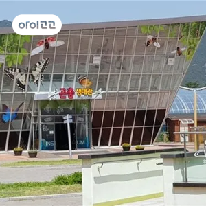 [국립과천과학관] 동물의 한살이 & 첨단과학기술과 미래상상 | 교과연계 체험 by 교과타파